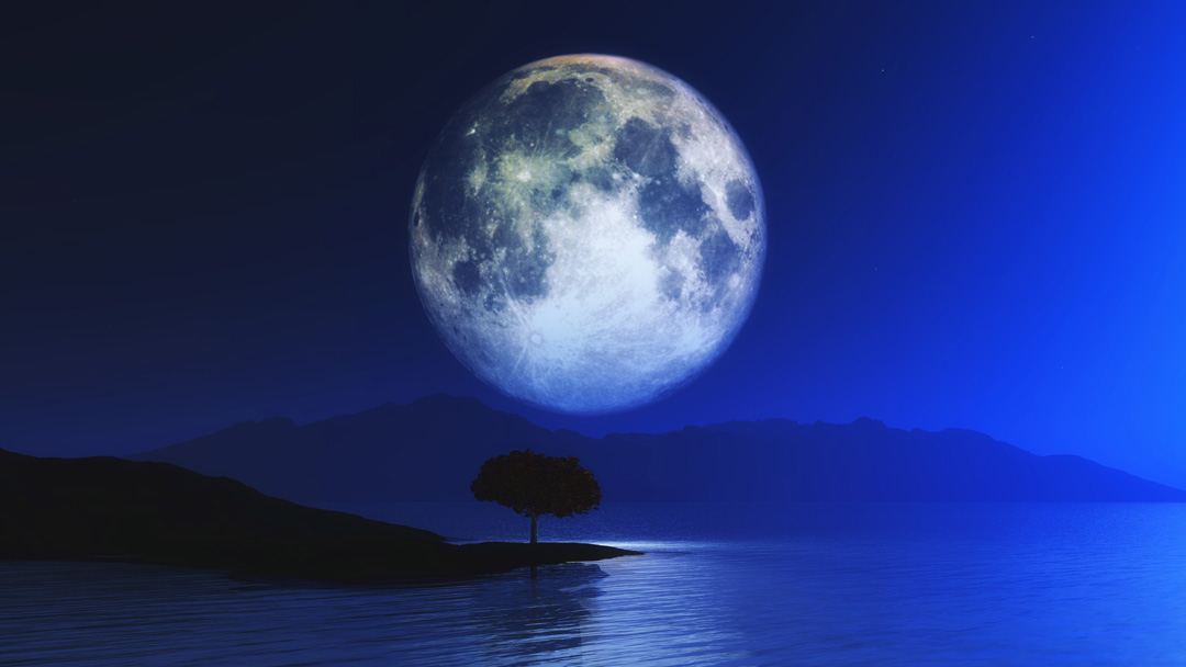 3D landscape with tree against moonlit sky Merveilleuse lune
