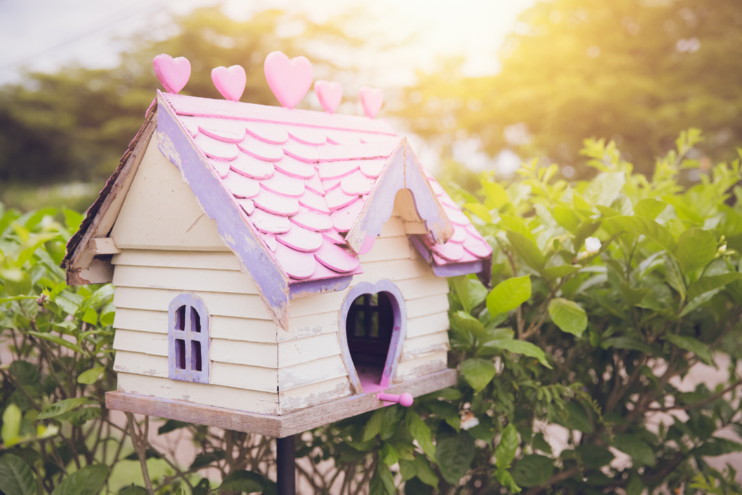 birdhouse old wooden lovely bird home in the garden with morning soins-energetique