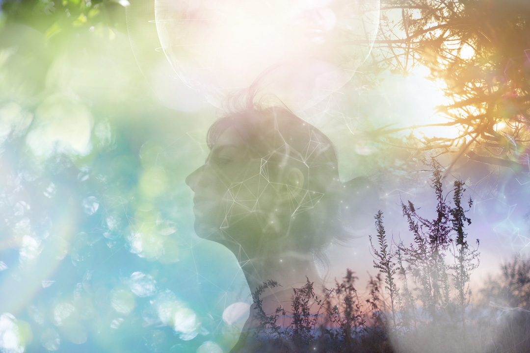 natural environment and the profile of a person Page d'accueil - transmission trésors du vivant